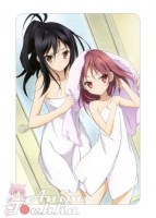 Accel World 27